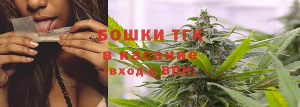 твердый Аркадак