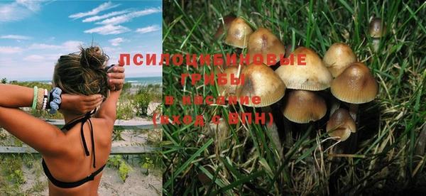 твердый Аркадак