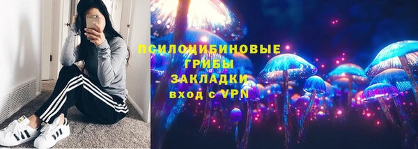 твердый Аркадак