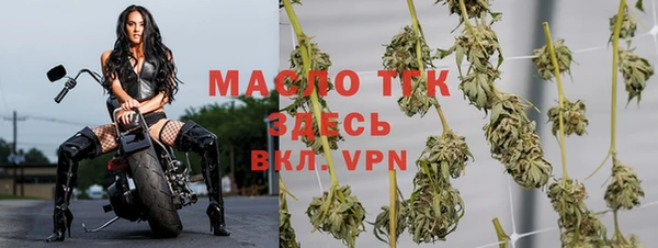 твердый Аркадак