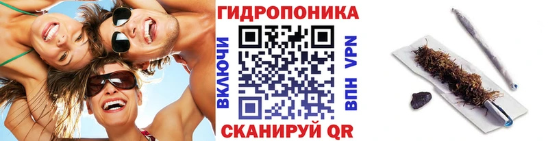 блэк спрут зеркало  Губкинский  Канабис план 